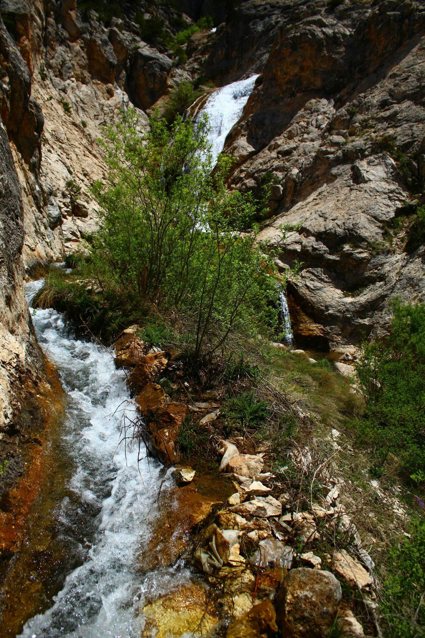 Agence de l'eau